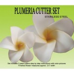 Plumeria Cutter and Veiner Set