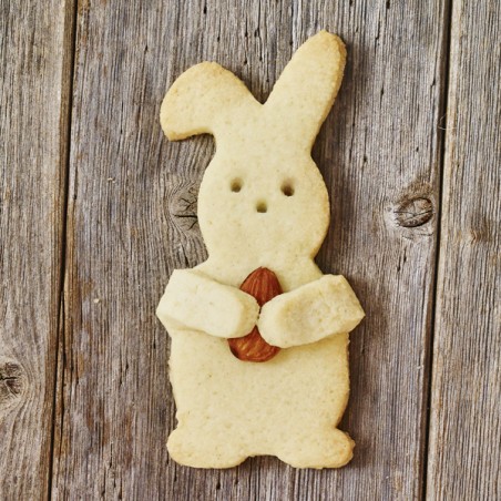 Good Luck Bunny Cookie Cutter