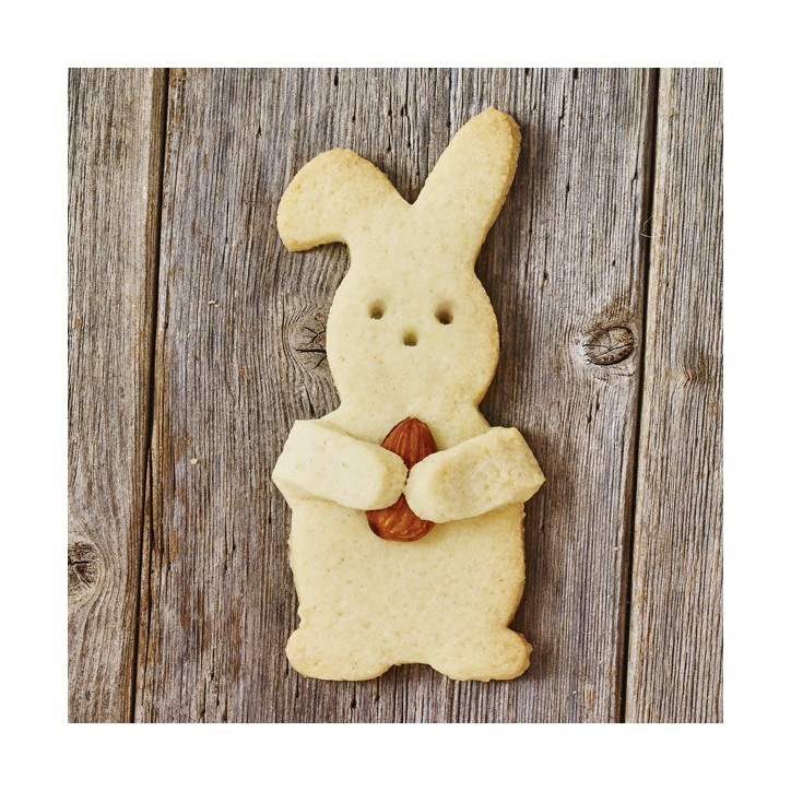 Good Luck Bunny Cookie Cutter