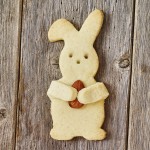 Birkmann Cuddle Bunny Cookie Cutter, 10.2cm