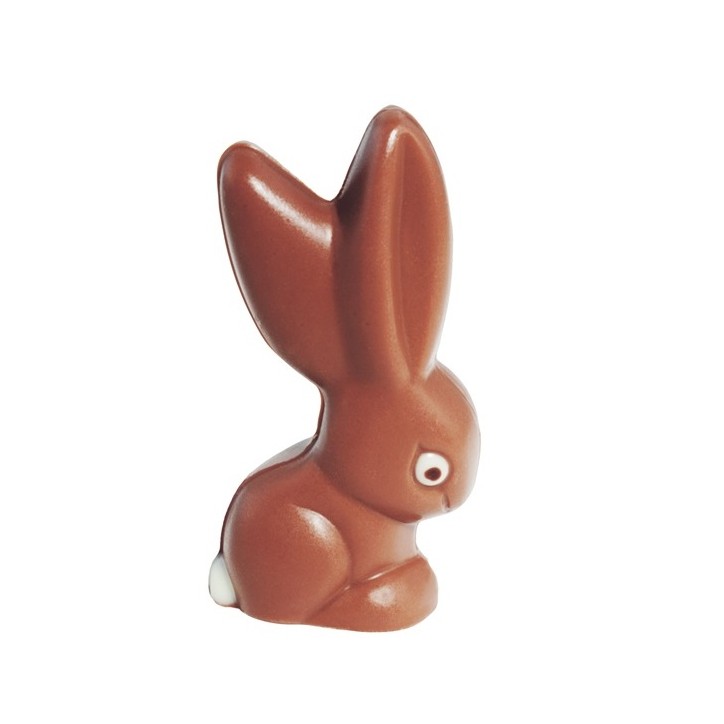 Easter Bunny Mould