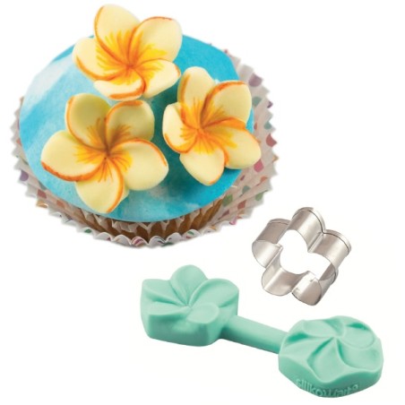 SLK808 Plumeria Sugar Blossom Mould and Cutter Set