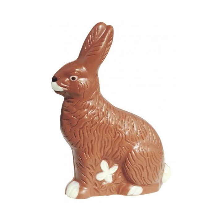 Sitting Chocolate Bunny Mould