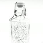 Icebreaker Soulbottle, 1 Liter