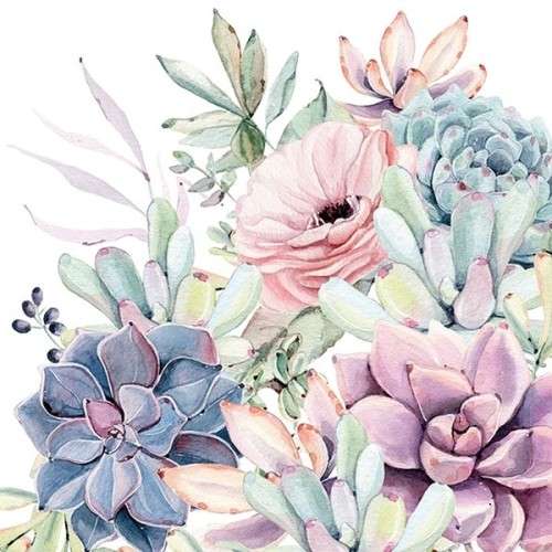 Ambiente Succulent Love Paper Napkins, 20 pcs