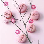 Macarons Backbuch von Annie Rigg & Loretta Liu (Englisch)