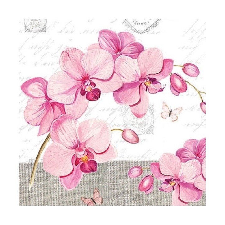 13309955 Orchideen Papierservietten