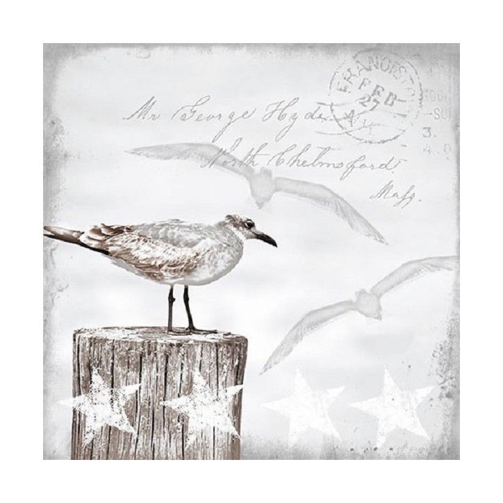 13309115 Seagulls Napkins