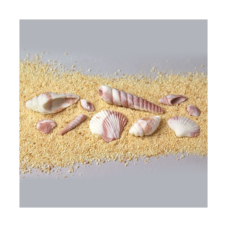 Katy Sue Seashells Silicone Mould