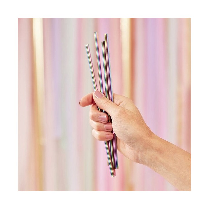 5 Rainbow Stainless Steel Straws - Giner Ray Mix-249