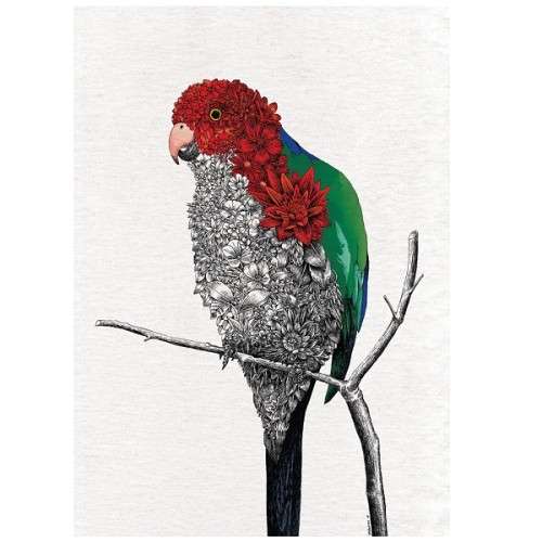 Maxwell & Williams Tea Towel Australian King-Parrot by Nathan Ferlazzo