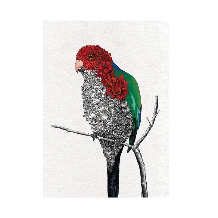 Maxwell & Williams Geschirrtücher Marini Ferlazzo Collection - King Parrot GX0091