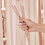 Ginger Ray 5 Metallic Rose Gold Stainless Steel Straws with cleaning brush