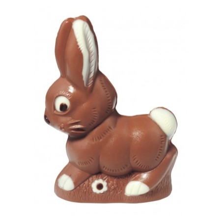 Hoppelhase Chocolate Mould