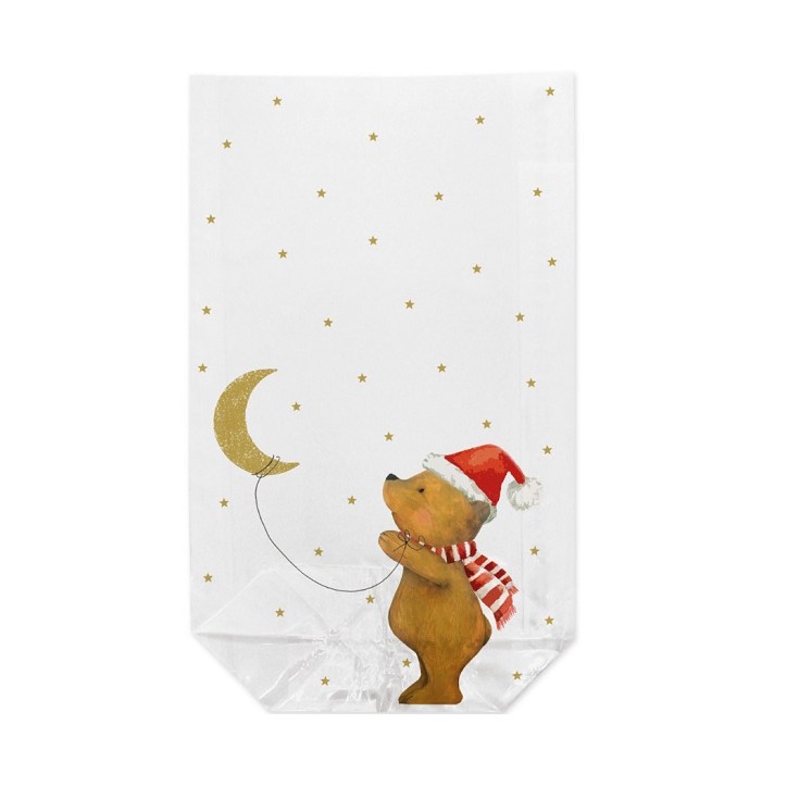 Litle Bear Gift Bag, 11.5cm x 19cm