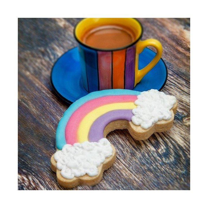 Anniversary House Rainbow Poly-Resin Coated Cookie Cutter AH-K0814