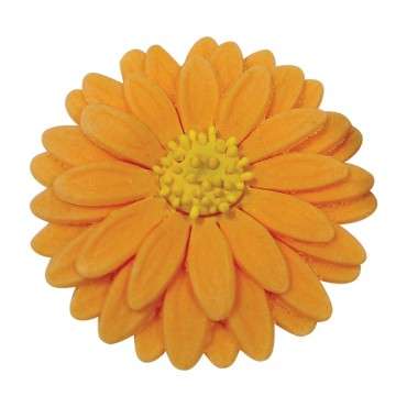 PME Sunflower/Daisy/Gerbera Plunger Cutter set/3 - SD618