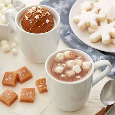 Wilton 3D Mold for Hot Chocolate Bombs – Pure Magic