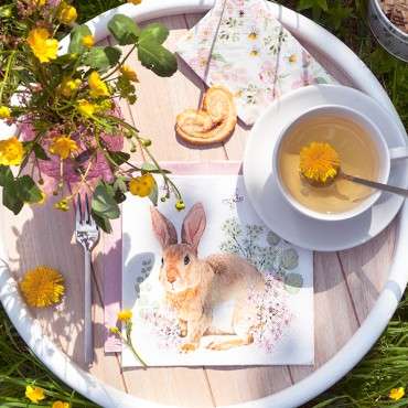 Home Fashion Paper Napkins Rosi Rabbit 20 Pieces FE-212009