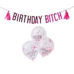 Ginger Ray Birthday Bitch Ballons und Girlande Pink