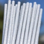 Bakeria 15cm Plastic Silver Sparkle Cake Pop Lollipop Sticks, 25 pcs