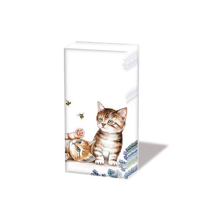 Ambiente Handkerchiefs Hdkf Cats Bees 10 pcs AMB-12212885