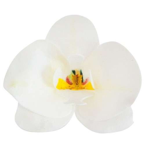 deKora 8.5cm Edible Wafer Paper Orchid White, 10 pcs