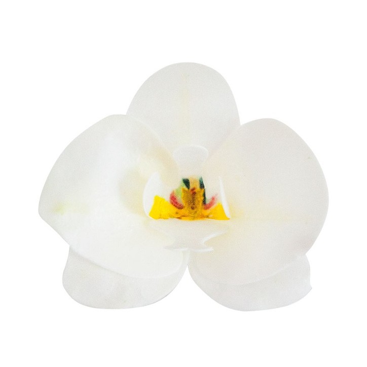 White Orchid Cake Decoration - 10 pcs Wafer Paper Orchids 8435035233987