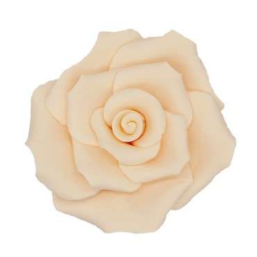 6 grosse Rosen aus Zuckerpaste Ø 7cm - Ivory Zuckerrosen Tortendekor 210117