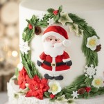 Karen Davies Christmas Cookies Santa - Snowman - Rudolpf Sugarcraft Mould