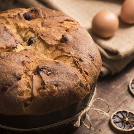 1kg Canasta Einweg Backformen Rund, 5 Stück / Runde Panettone Backform