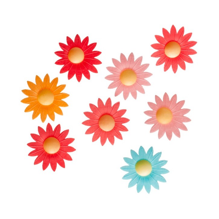 Glutenfree Daisy Flowers - edible flowers - WAFER COLOUR DAISY 8 pcs