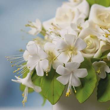 White/Yellow Cake Art Flower Pistiles, Syntetic Flower Stamens Cake Designs, Sugarflower Stamens Assorted,