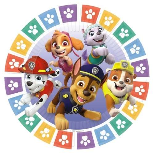 Amscan Paw Patrol Rainbow Teller, 8 Stück