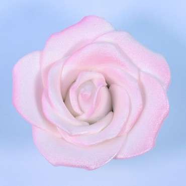 Grosse Zuckerrose Kuchendekor - Weisse Gumpaste Rose - Zuckerblumen Rose Tortendekor