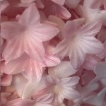 deKora 2cm Edible Mini Wafer Paper Flowers Pink, 400 pcs