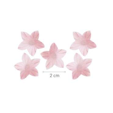 Edible Mini Flower Blossoms Pink - Edible Mini Flowers Pink Glutenfree Cake Decoration