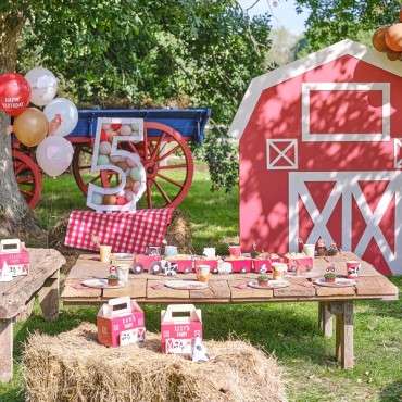 Farm Friends Party Box - Farmyard Partyboxes FA-108 Ginger Ray