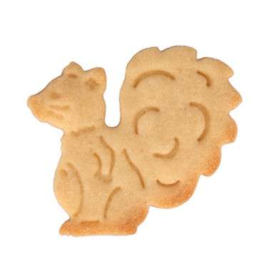 Squirrel Cookie Cutter – Cute Squirrel Cookies for Autumn and Winter!