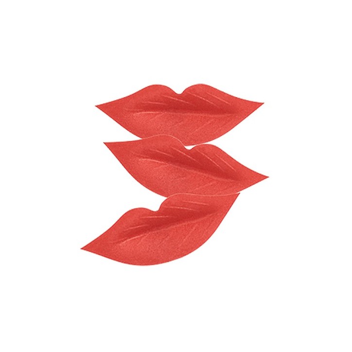 Lips Cake Decor - Wafer Paper Lippen