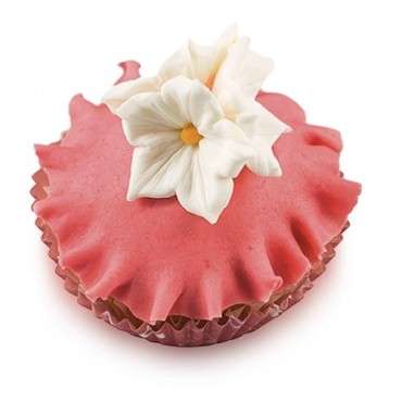 Petunia Cutter Set - Floral Decorations for Your Baking Creations