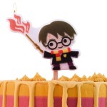 PME Harry Potter Character Candle, 1pcs