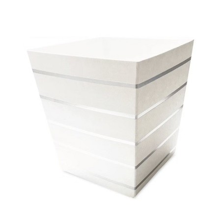 Delight Department Silver Striped Snack Boxes | 5pcs