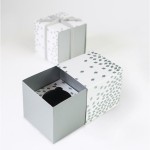 Paper Eskimo Single Cupcake Box Silver Geo, 6pcs