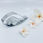 PME Plumeria / Frangipani - 3er Set Ausstecher