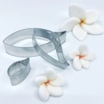 PME Plumeria / Frangipani - 3er Set Ausstecher