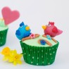 Edible Cupcakes Decoration