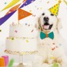 Dog Party Supplies